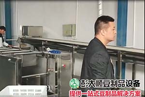 彭大顺豆腐皮生产线制作过程